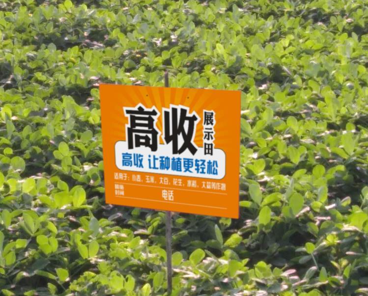 中国·世俱杯竞彩(FIFA)官方网站-2025Club- 阿尔特塔轮换策略收奇效  